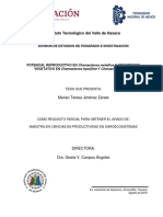 Potencial Reproductivo en Chamaedorea Metallica y Crecimiento..Marian Teresa Jimenez-Zarate