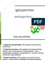 Morfologia floral das angiospermas