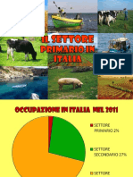 Settore Primario in Italia