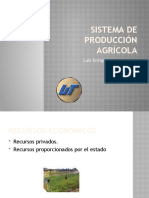 Sistema de producción agrícola