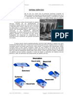  Sistema Nervoso 