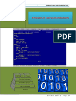 Program Implementation