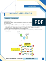 C - Sem4 - Biologia - ÁCIDOS NUCLEICOS