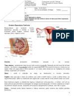 Aula 5 - Sistema Reprodutor Feminino