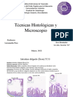 Técnicas Histológicas y Microscopio
