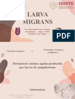 Larva Migrans