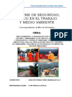 Informe Mes Diciembre 2018 Limabamba 2018 Final - Docf
