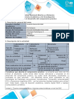 Guia Transitoria para El Desarrollo Del Componente Práctico - Laboratorio Patología Radiológica