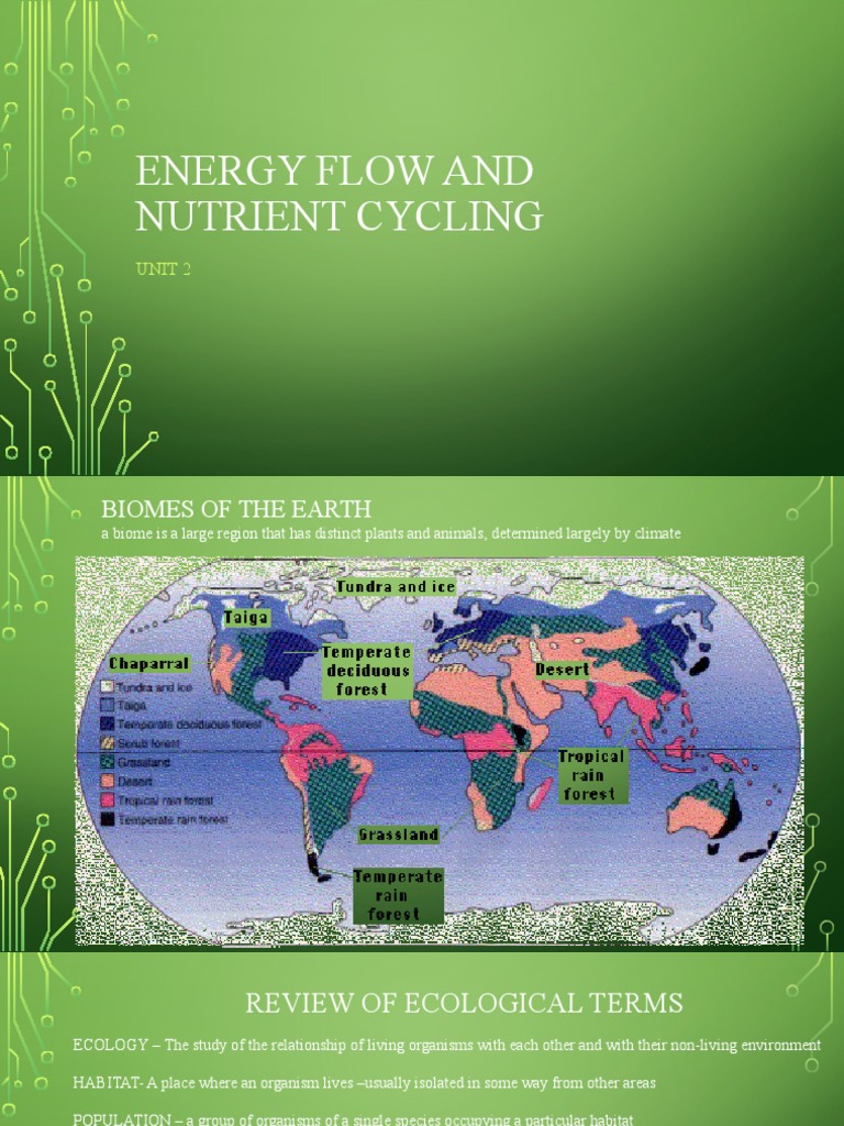 Energy Flow and Nutrient Cycling PDF Food  Natural Environment