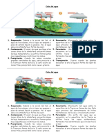 CicloAgua6Pasos