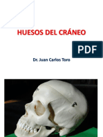 Osteologia de craneo