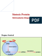 Biologi Dasar - Sintesis Protein
