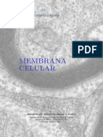 atlas-celula-03-membrana-celular