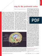 Control of Craving in CPF