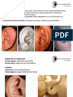 Clase I Auriculoterapia Acu-Systems
