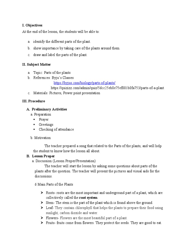Lesson Plan | PDF | Plants | Leaf