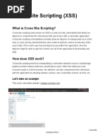 Cross Site Scripting (XSS)