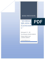 Buku Petunjuk "Budidaya Selada Hijau (Lactucasativa L)