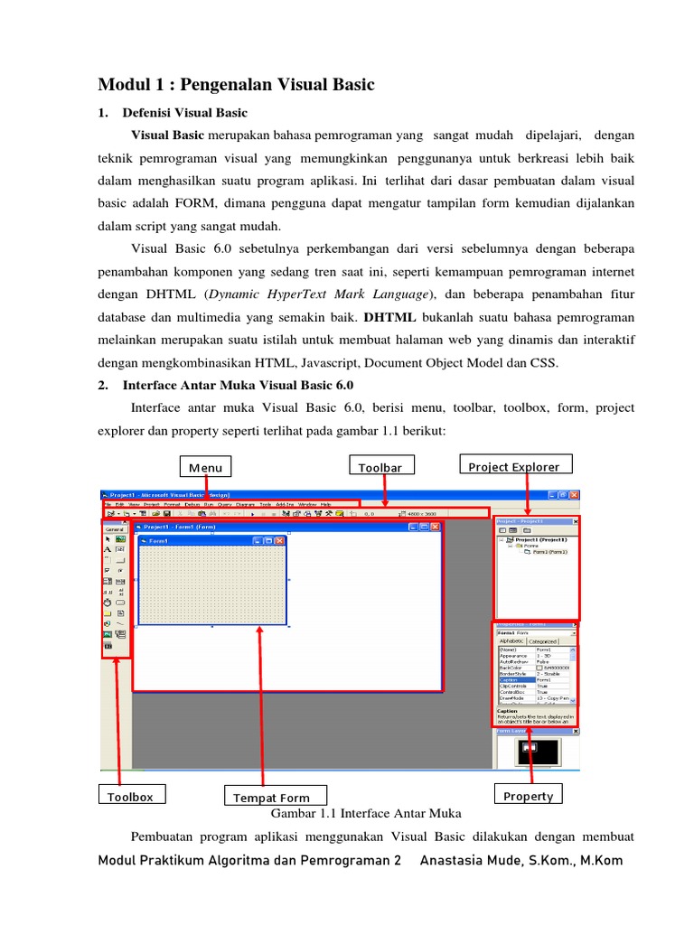 Panduan Praktikum Visual Basic 6.0 | PDF