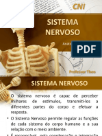 5SISTEMA NERVOSO