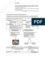 Tema 6. Conectomica