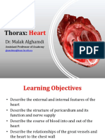 1.02 Thorax - Heart - Dr. Malak