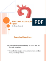 3.01 Aorta and Blood Supply 3rd Year