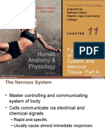 Human Anatomy & Physiology: Fundamentals of The Nervous System and Nervous Tissue: Part A