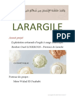 Larargile Presentation VF