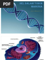 Download sel by Larasati Abbis SN57173961 doc pdf