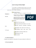 04 - Formato Informe Digital E&E