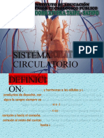 Sistema Circulatorio