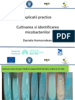 7 a Aplicatii Practice Cultivarea Si Identificarea Final