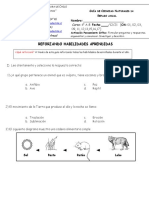 4° BÁSICO - CIENCIAS NATURALES - DICIEMBRE - GUÍA N° 13 - REFORZAMIENTO ANUAL Nº 2