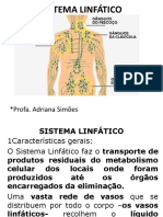 Sistema linfático: características e funções