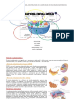 Actividad 1