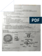 Tejidos epitelial, conjuntivo, adiposo, muscular y nervioso