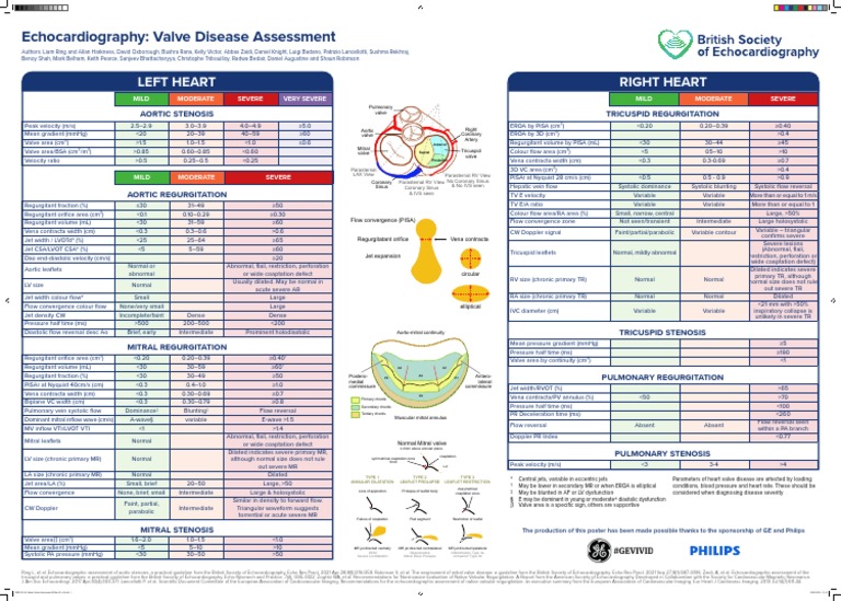 PUA006 Valve Disease Assessment Poster Print Ready PDF Heart