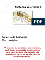 A1 - IntroduÃ Ã o Anatomia Veterinã¡ria 2017