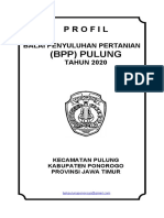 2020 Profil BPP Pulung