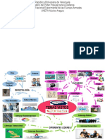 MAPA MENTAL FILOSOFIA Presentación1