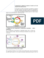 Foro Biologia Celular Reye