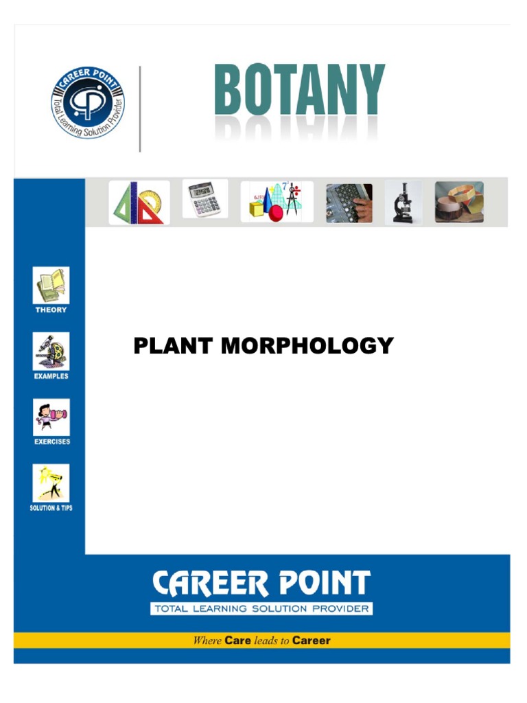 Botany Guide for Students | PDF | Petal | Flowers
