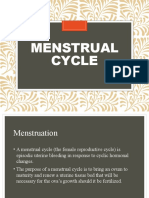 Menstrual Cycle