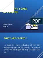 Different Types of Clouds: Cynthia S Binesh Grade 5B