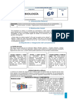 Grado 6 - Guia# 1 La Célula, Estructura y Función