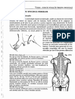 TSUBO - Pag 261 C 6