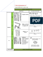 Activitatea Nr.13FD