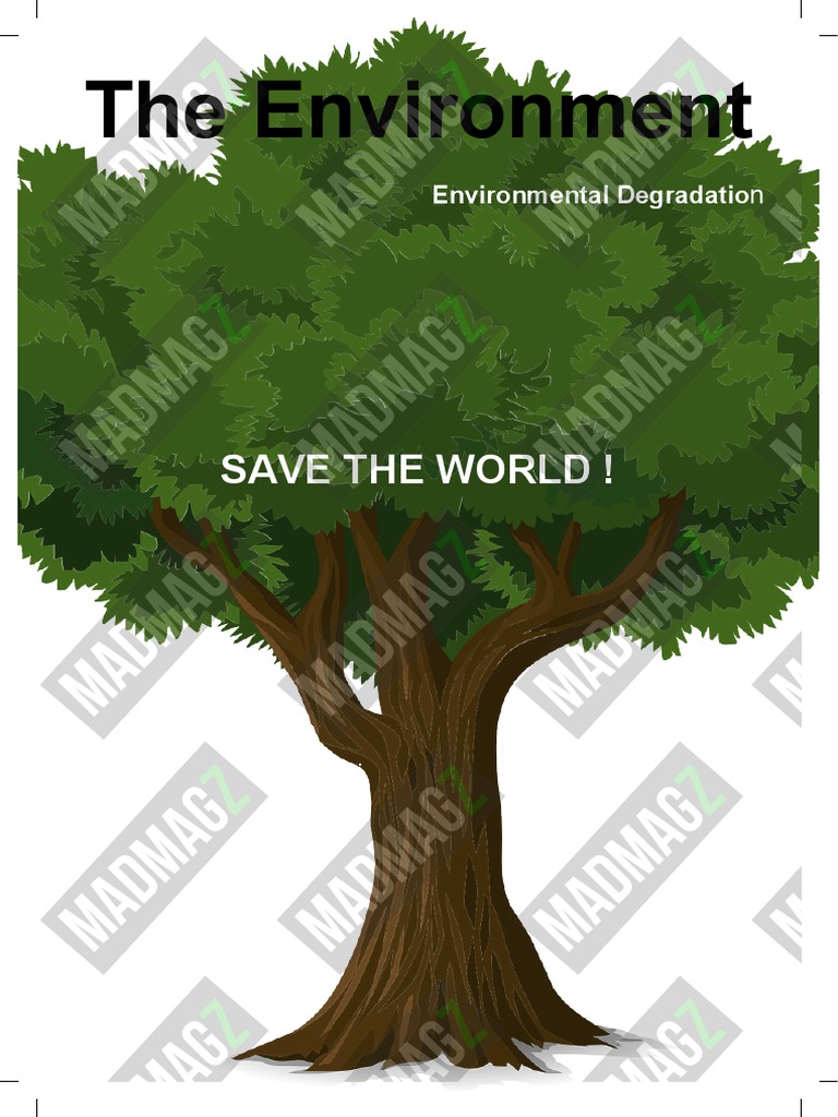 The Environment Environmental Degradation PDF Habitat Destruction