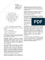 Vdocuments - MX - Preparate Enzimatice Notiuni Generale